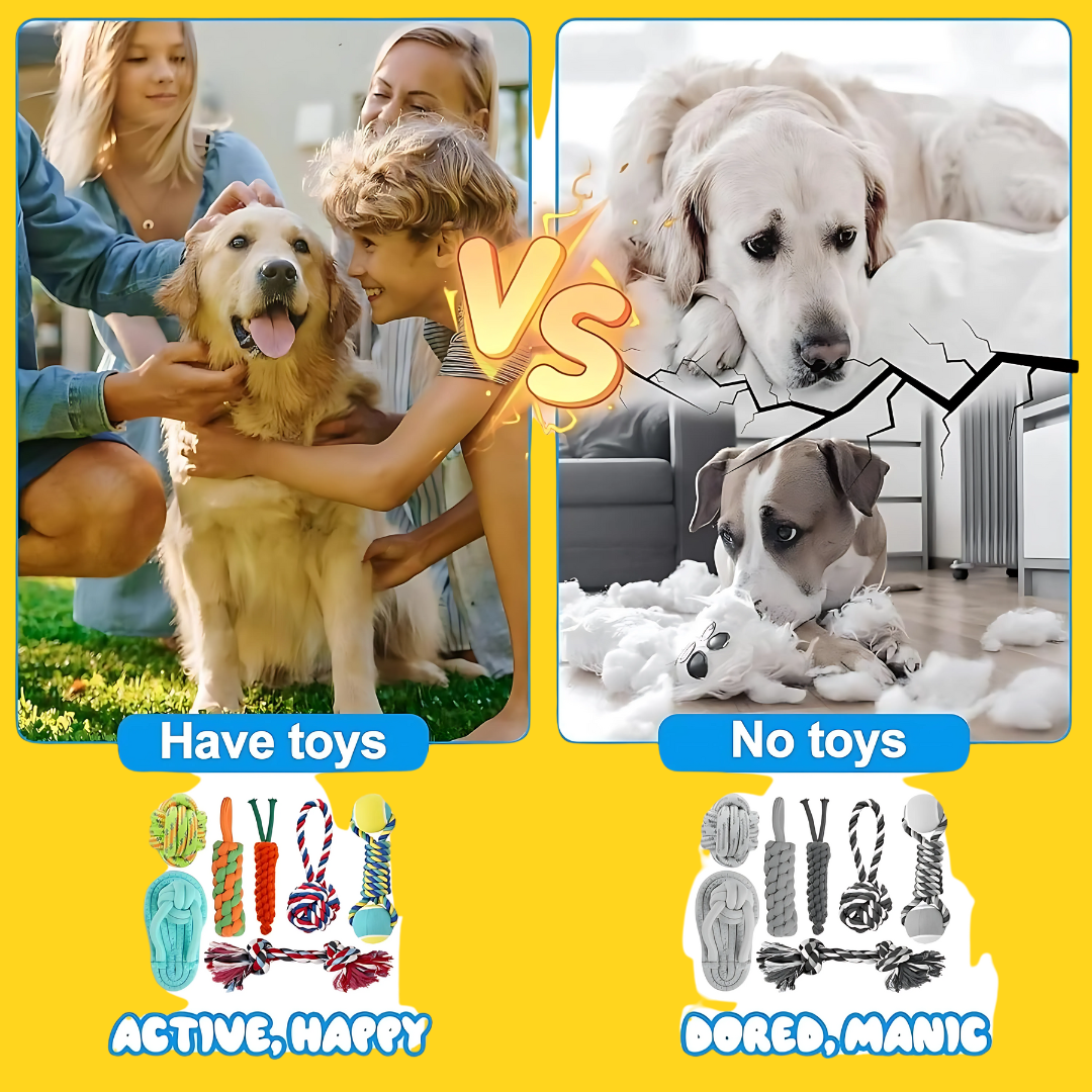 Interactive Chew Toy for Dogs
