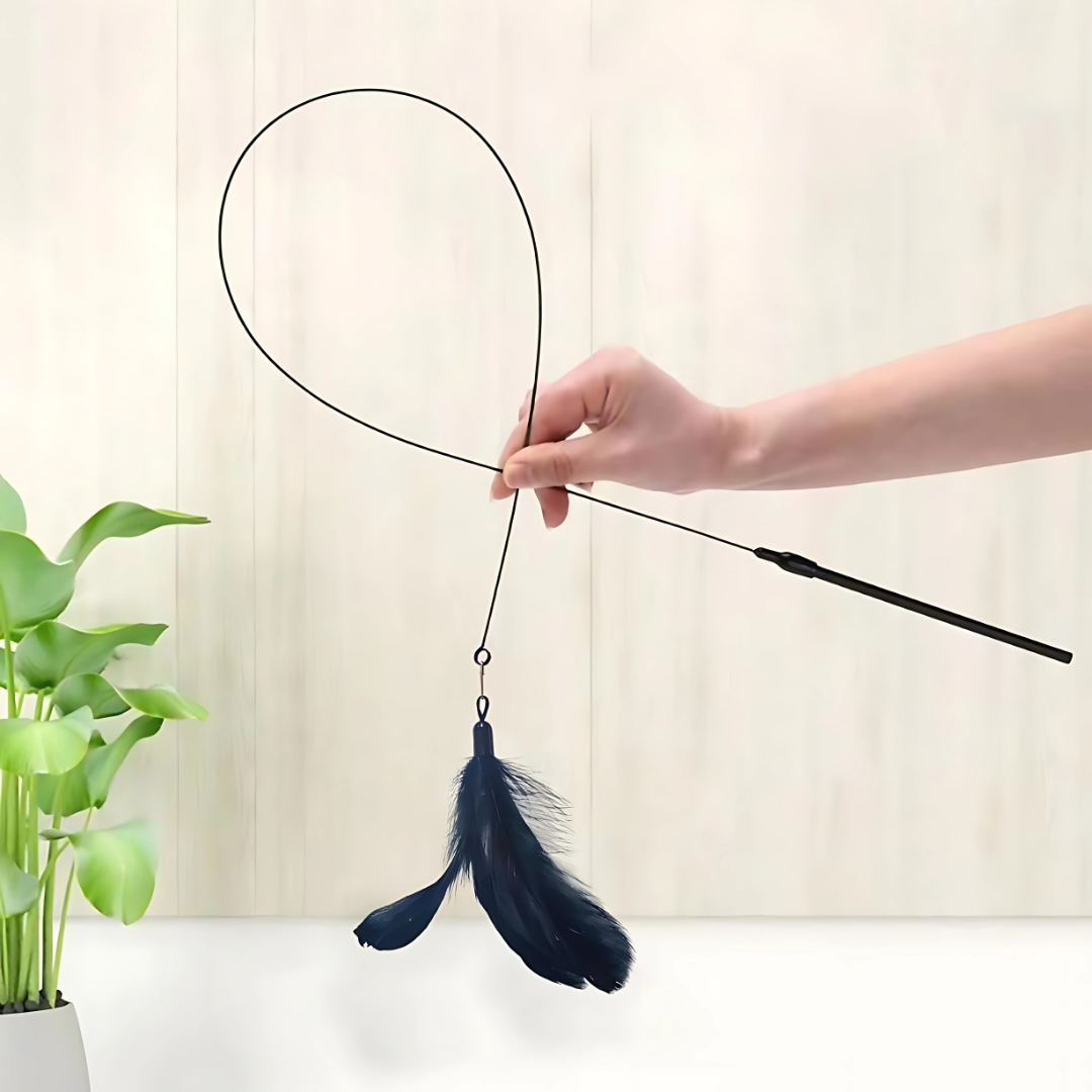 Cat Teaser Toy with Bell