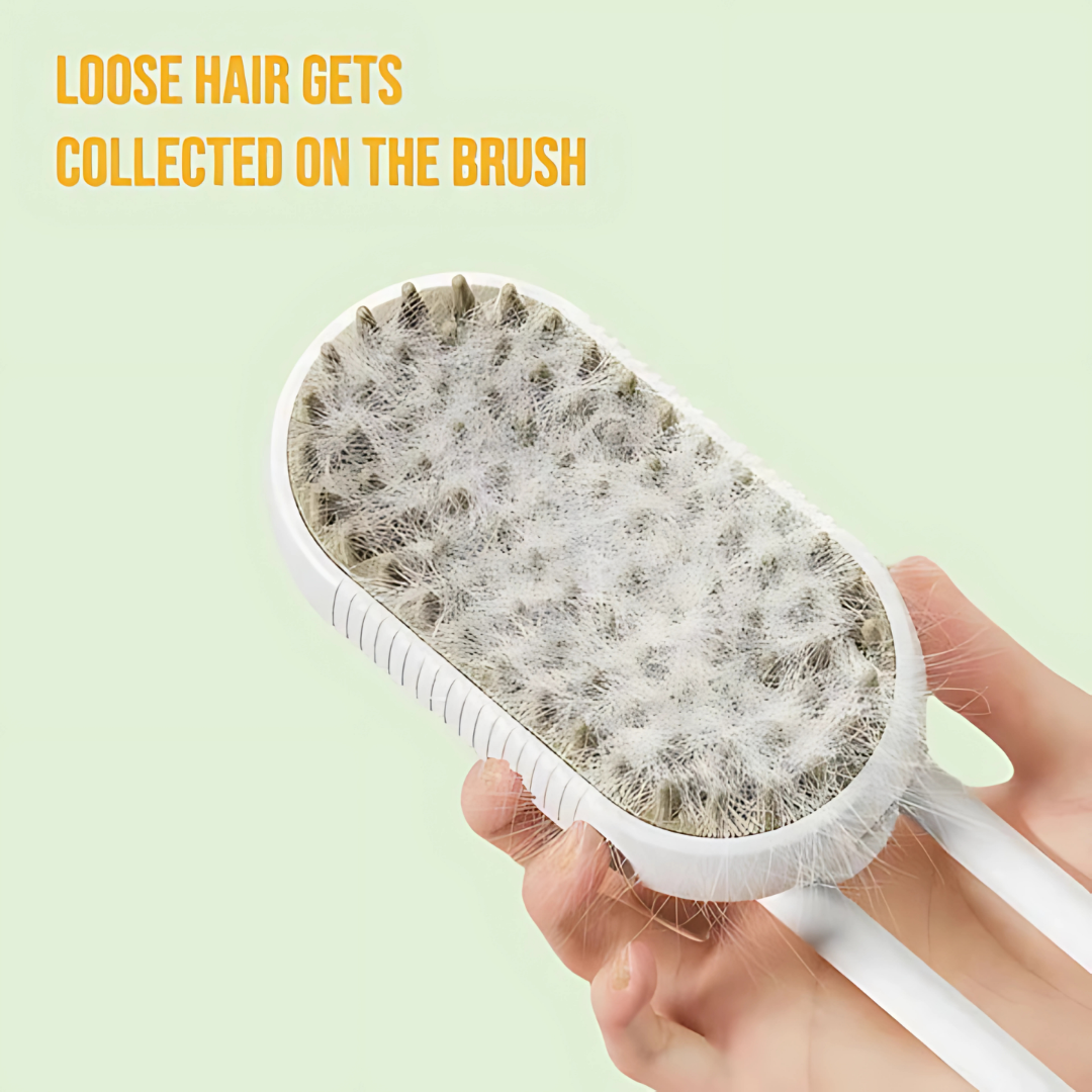 3 In 1 Electric Pet Steam Brush