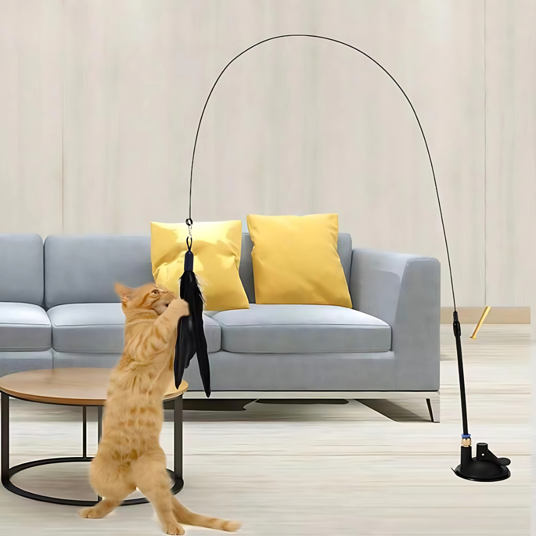 Cat Teaser Toy with Bell