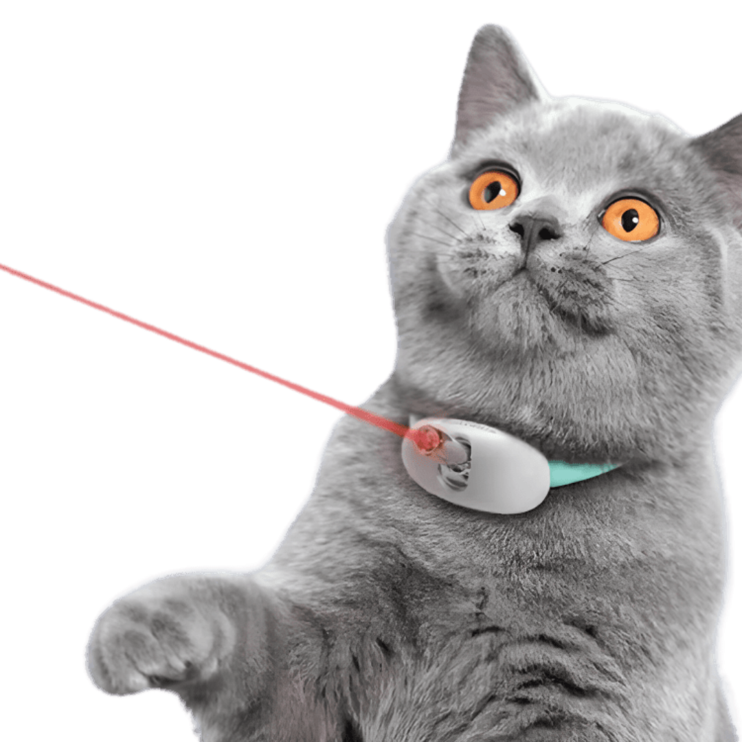 Laser Teasing Cat Collar
