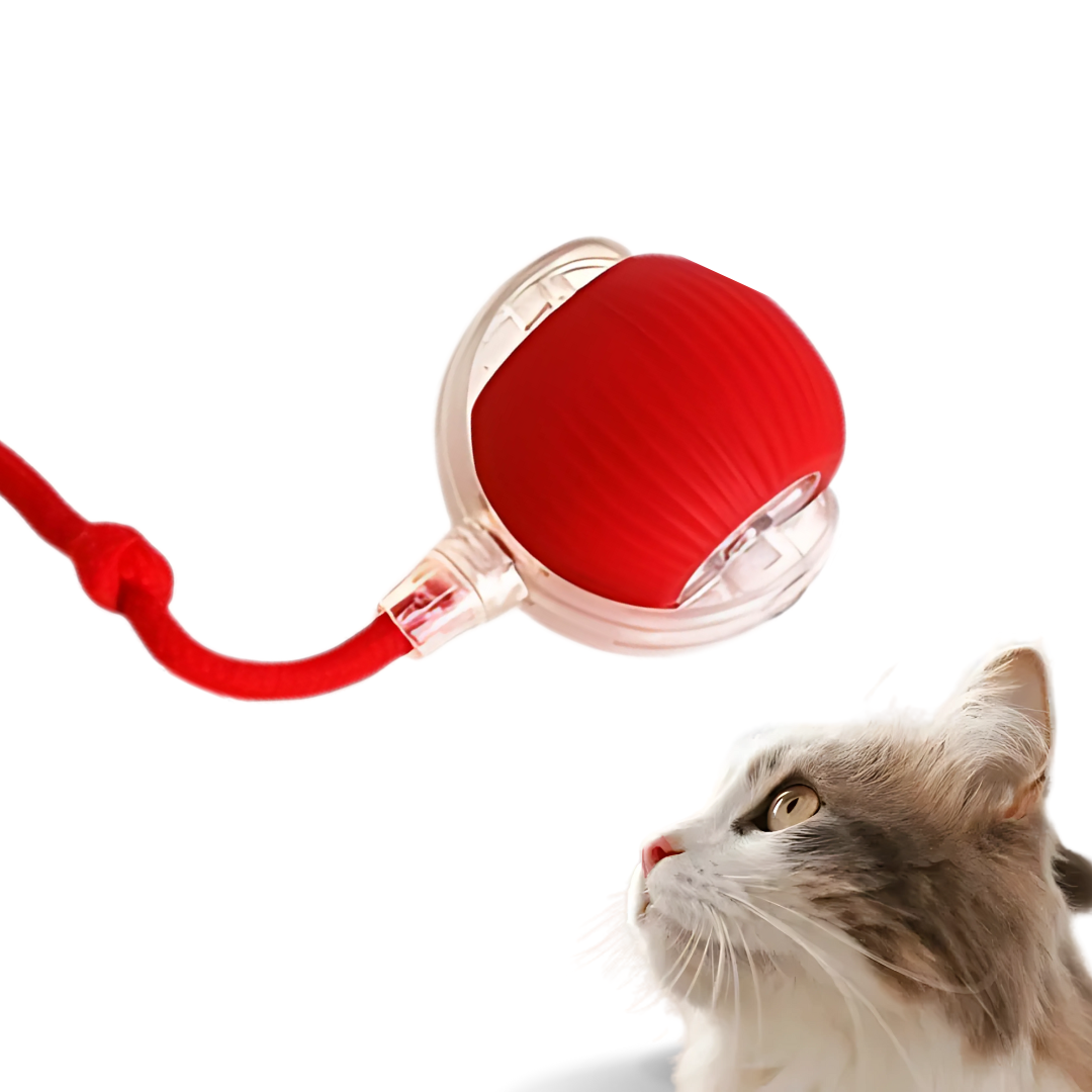 Self Rolling Cat Toy Ball with Tail