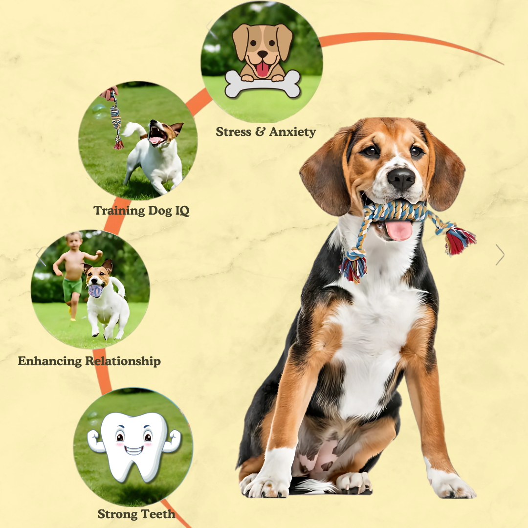Interactive Chew Toy for Dogs