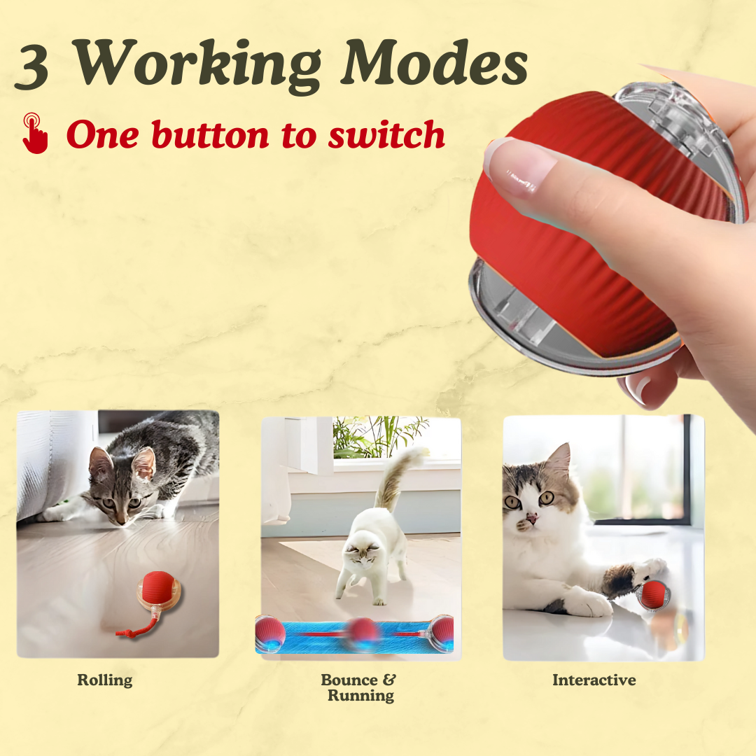 Self Rolling Cat Toy Ball with Tail
