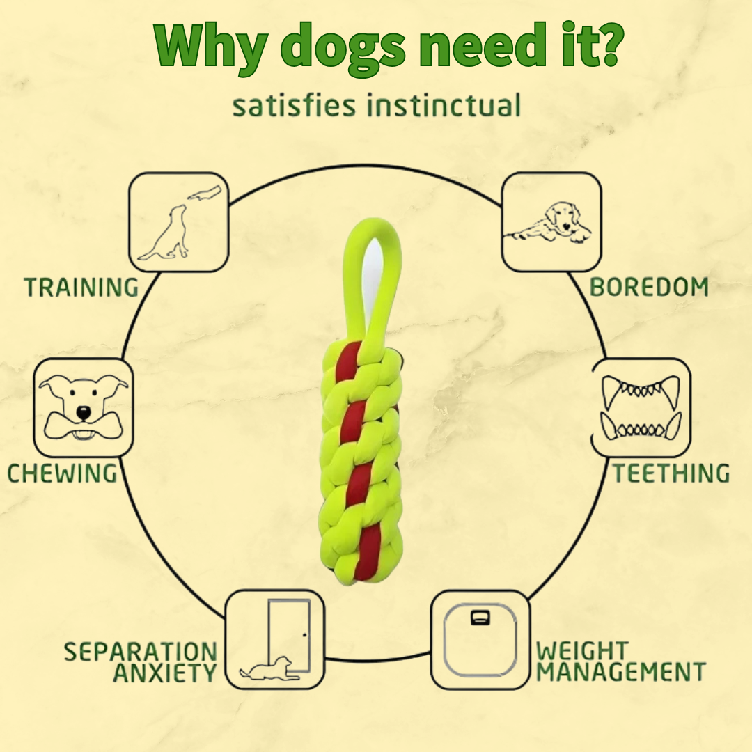 Interactive Chew Toy for Dogs