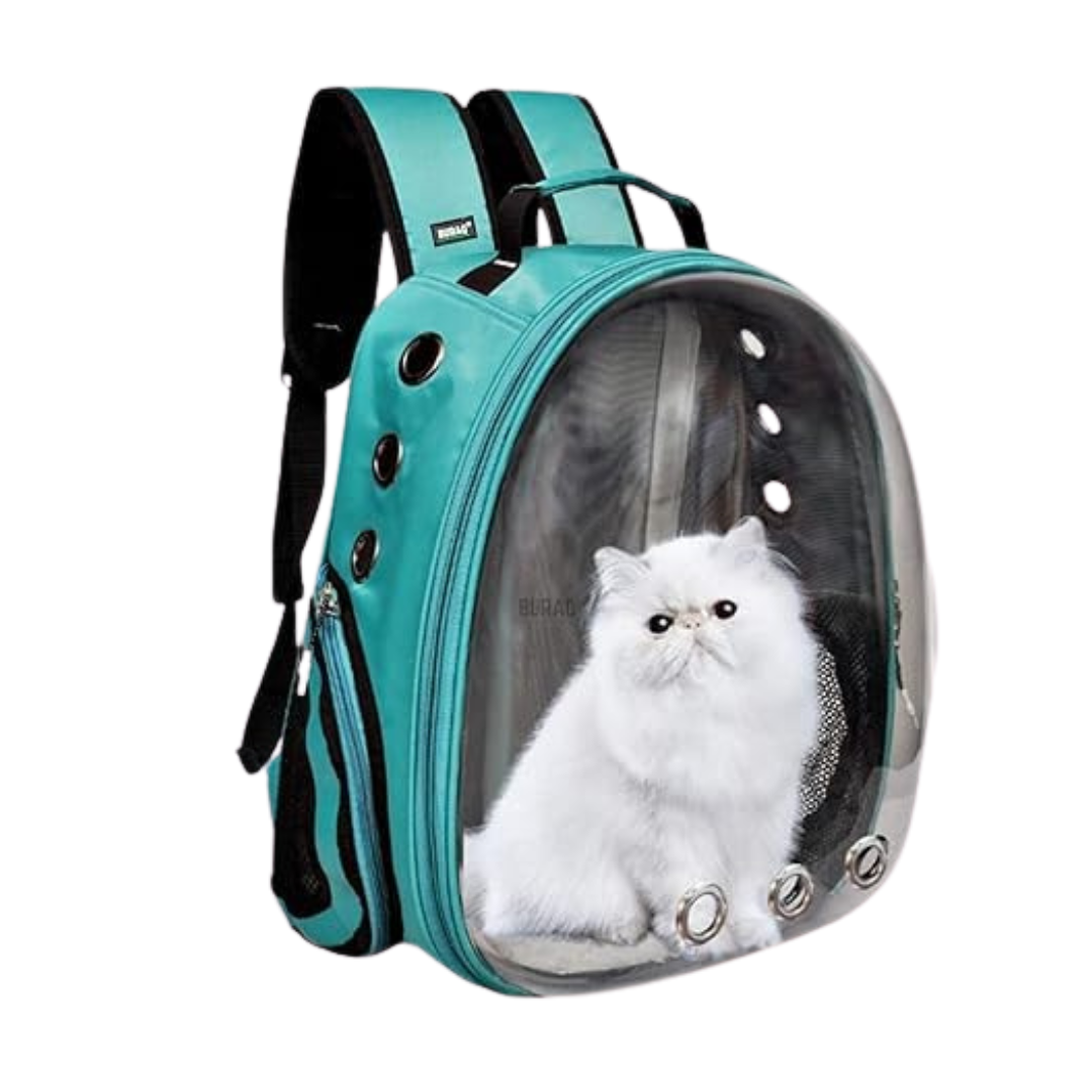 Cat Expandable Bag