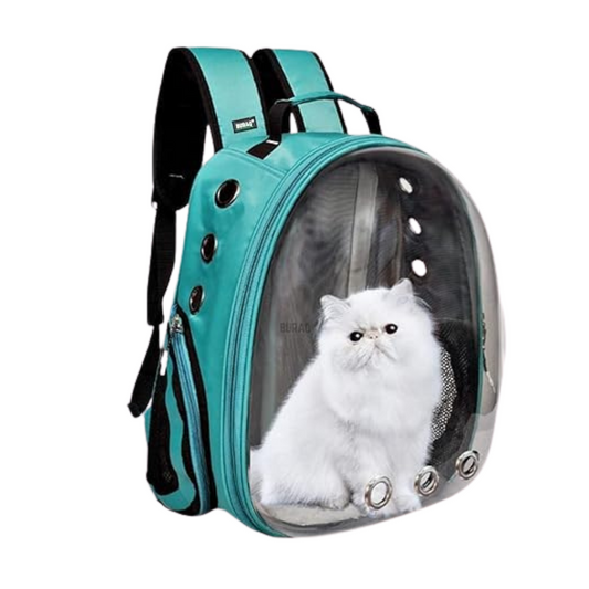Cat Expandable Bag