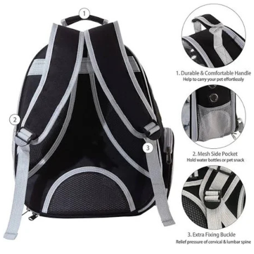 Cat Expandable Bag