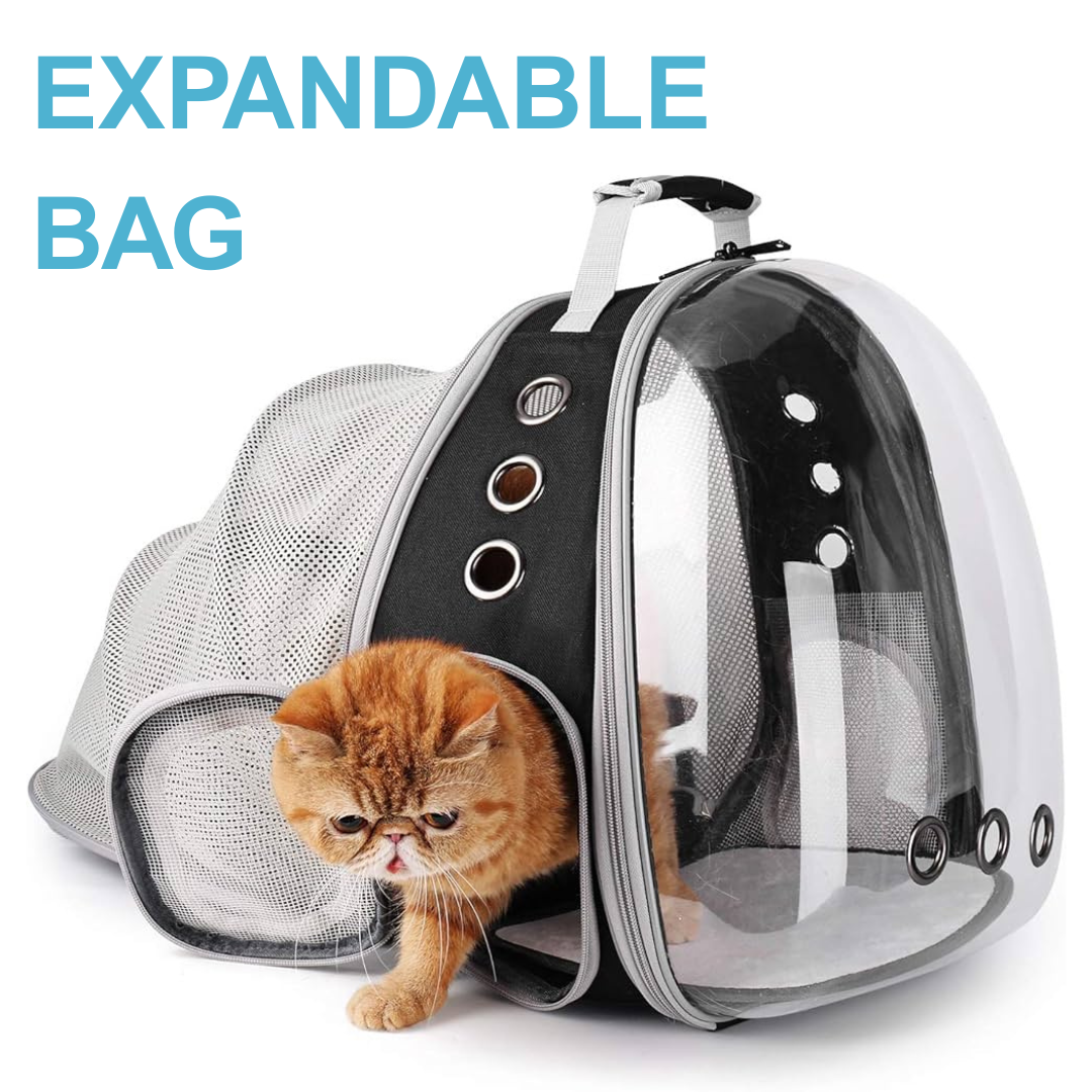 Cat Expandable Bag
