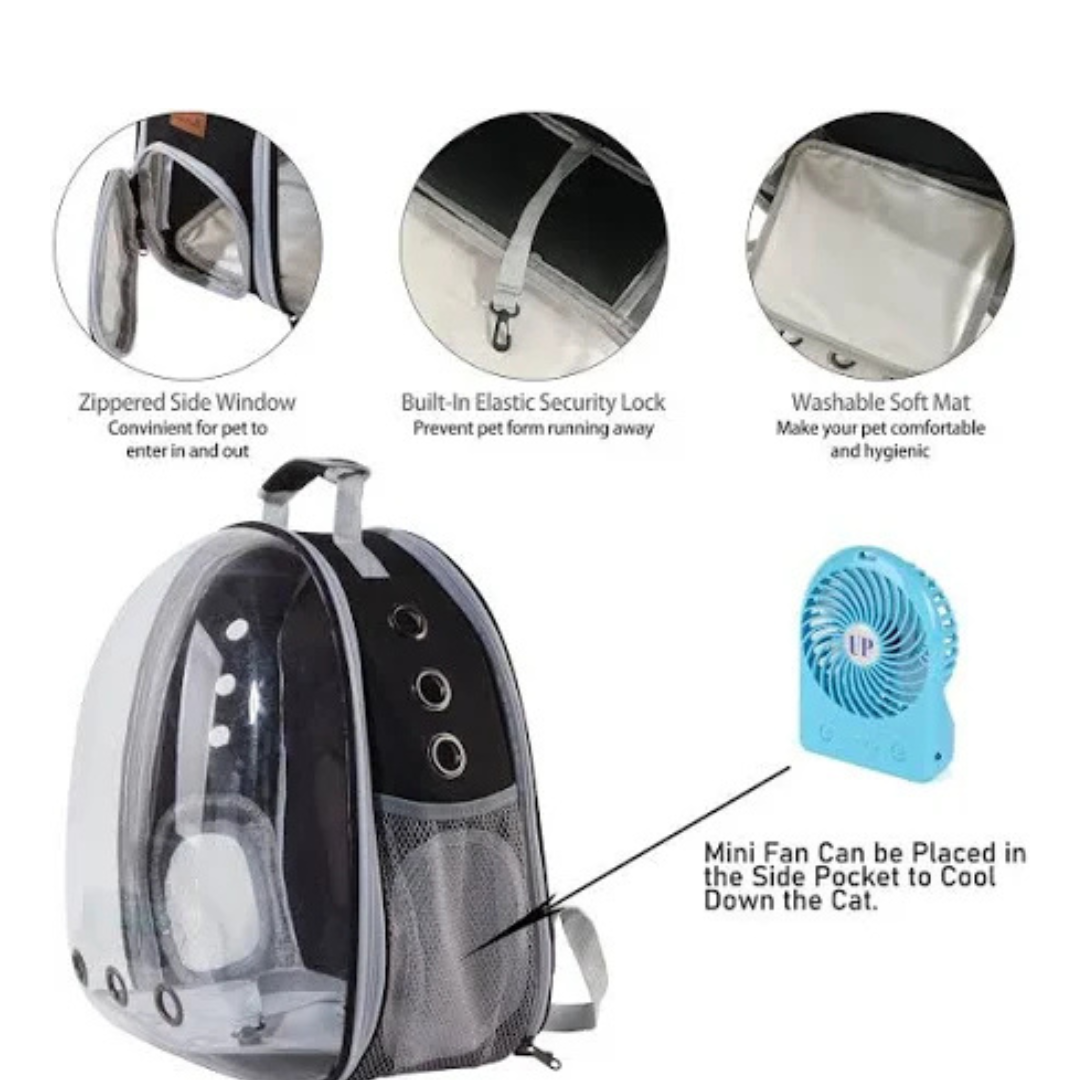 Cat Expandable Bag