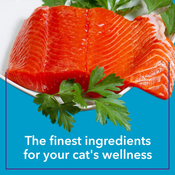 Purepet Cat Gravy Pouch
