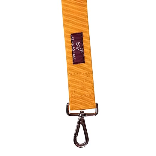 Leash With Collar