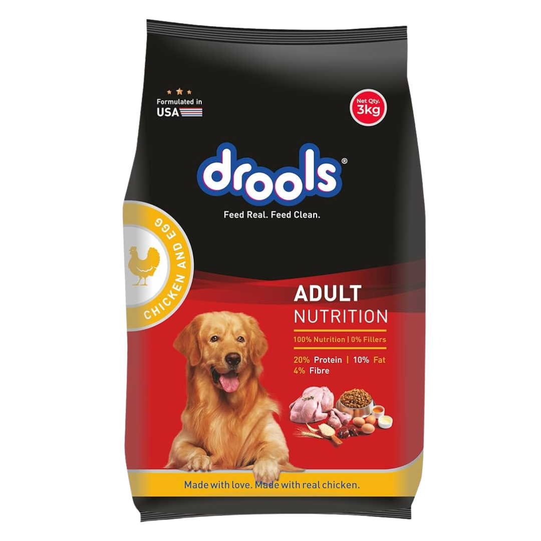 Everyday Dog Starter