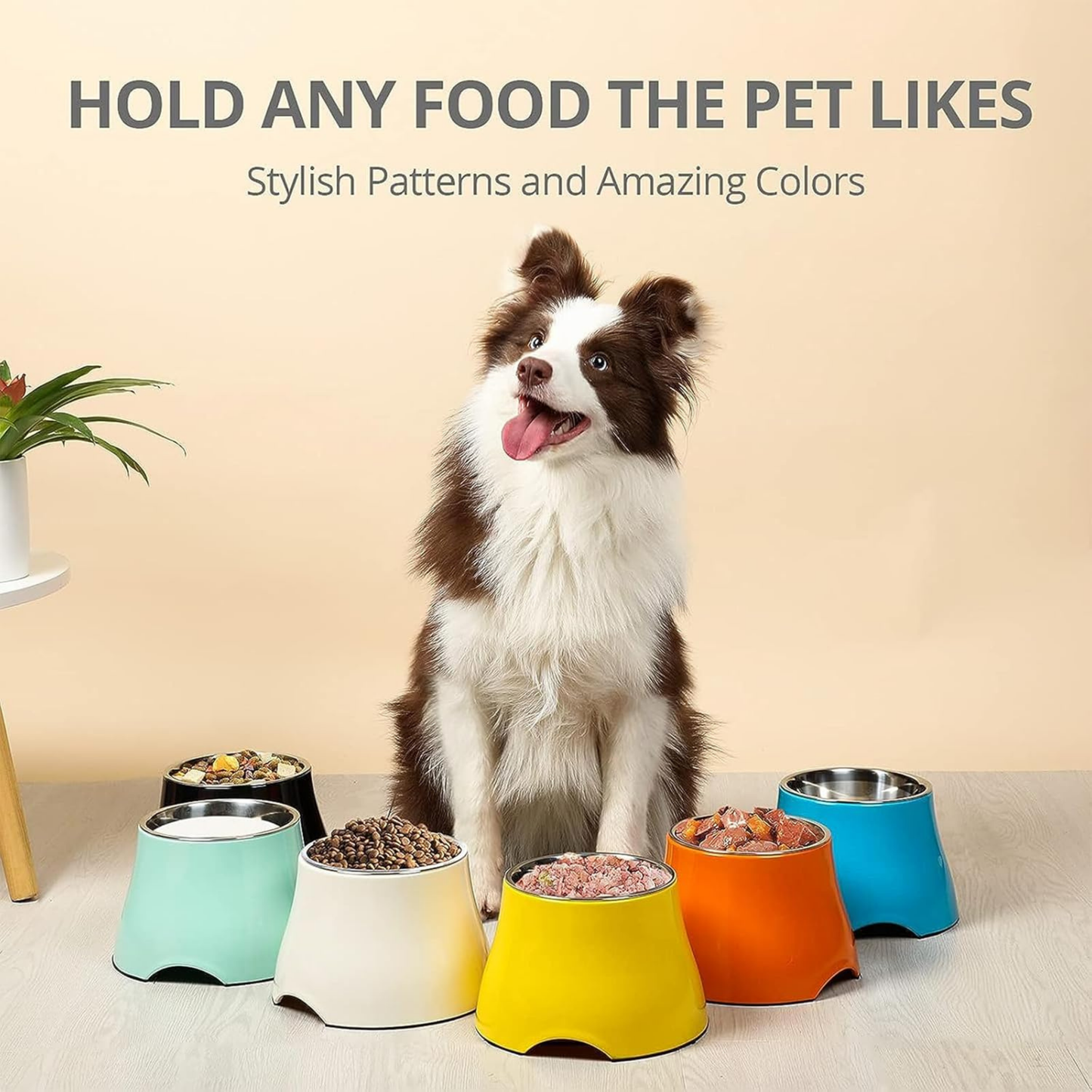 Melamine Elevated Bowl