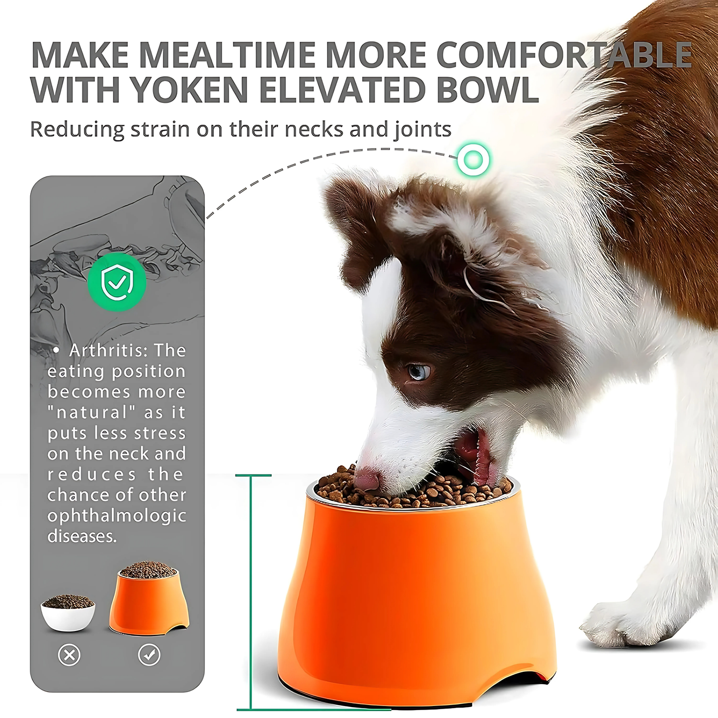 Melamine Elevated Bowl