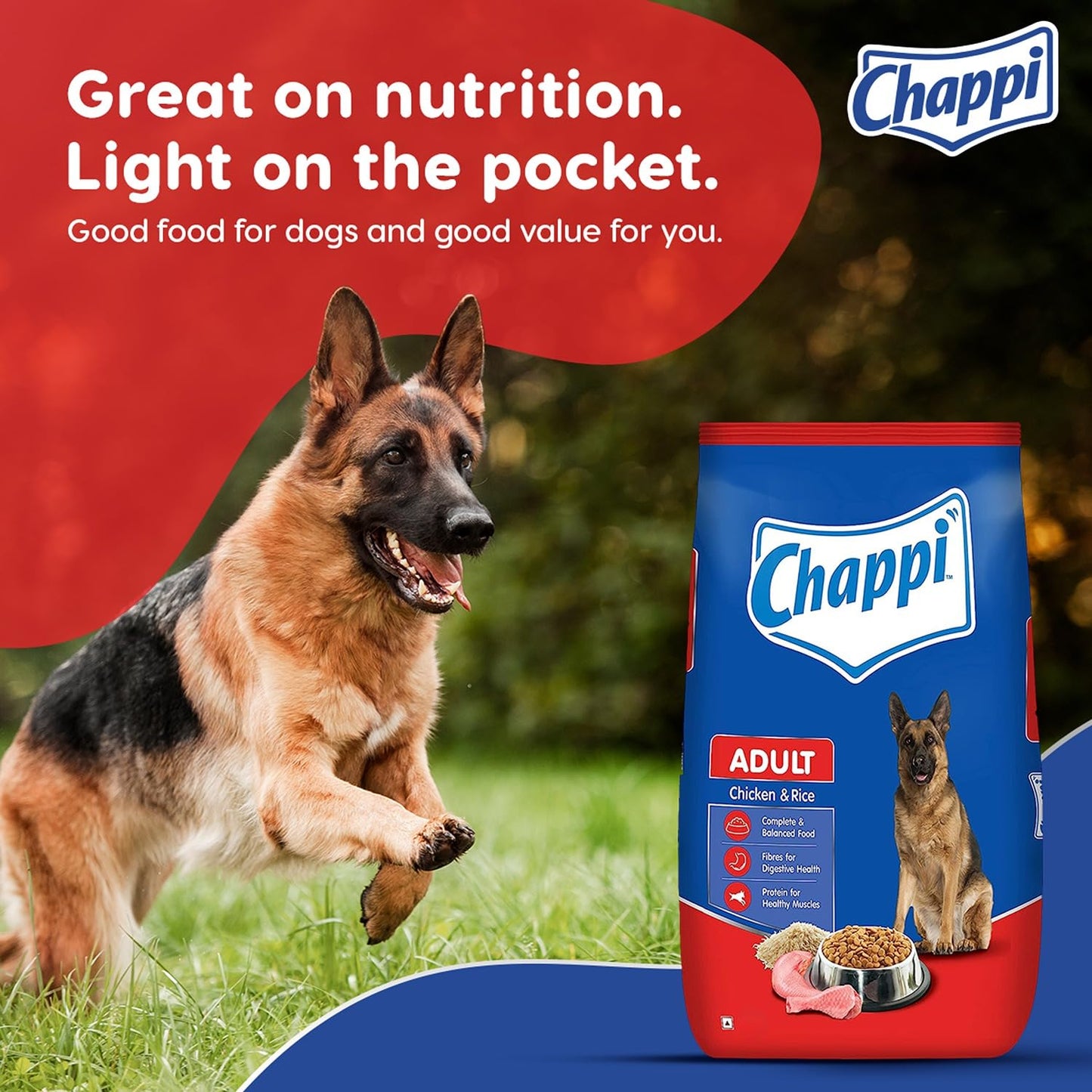 Chappi Adult (1+ Years) Dry Dog Food, Chicken & Rice, 2.8 kg, Complete and Balanced Food for Adult Dogs,