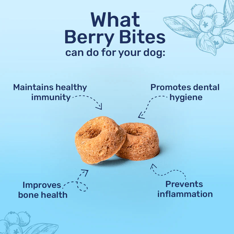 Berry Bites Dog Treat