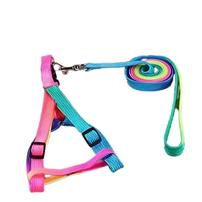 Puppy Harness Body Belt