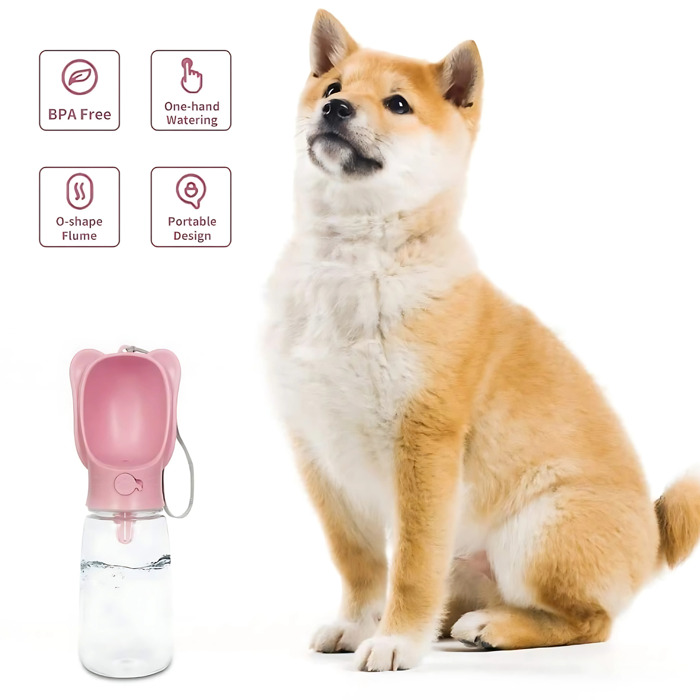 Pet Water Feeder Bottle 01