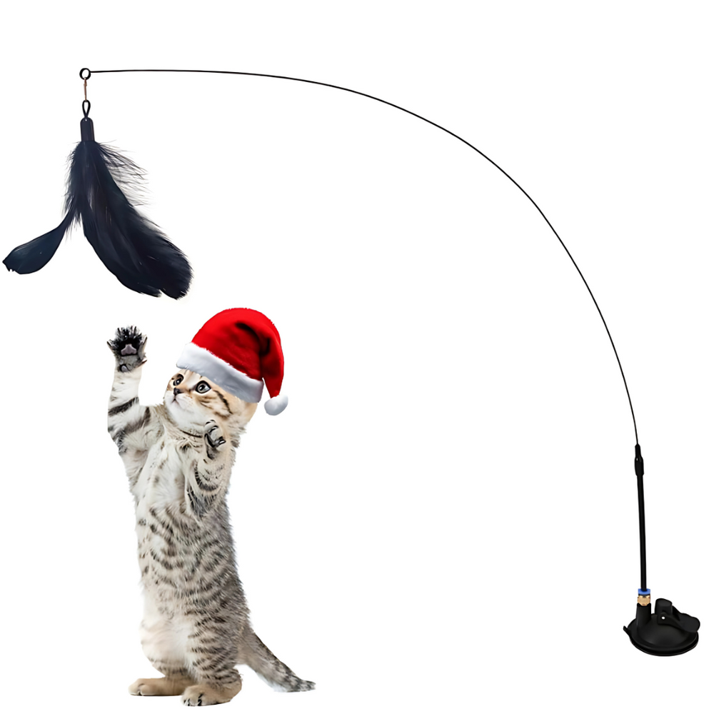 Cat Teaser Toy with Bell