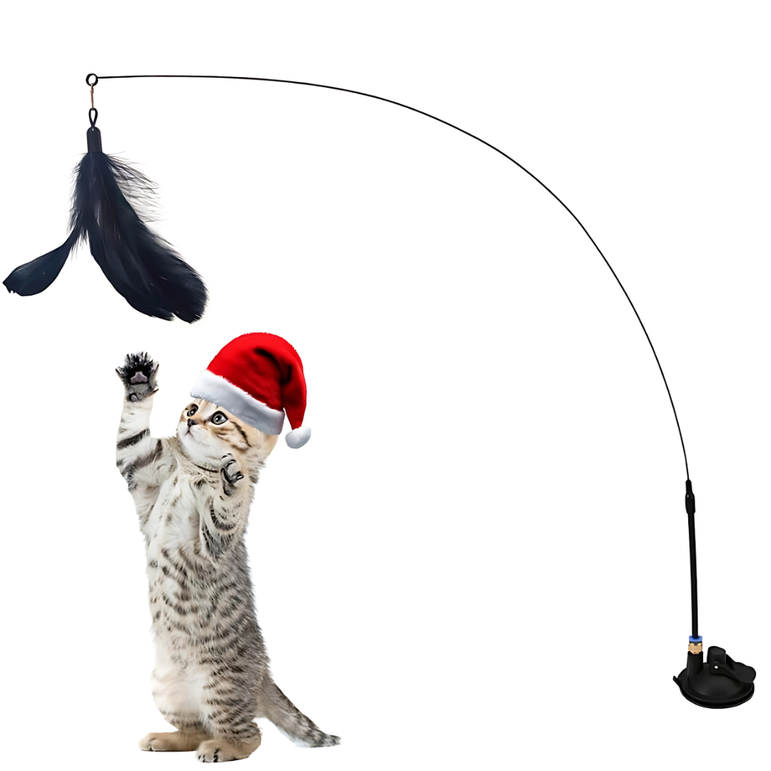 Cat Teaser Toy with Bell