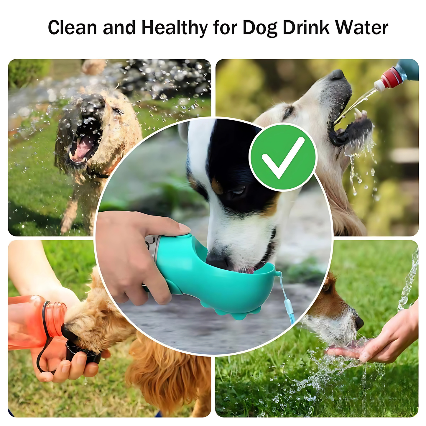 3 IN 1 Pet Feeding Bottle