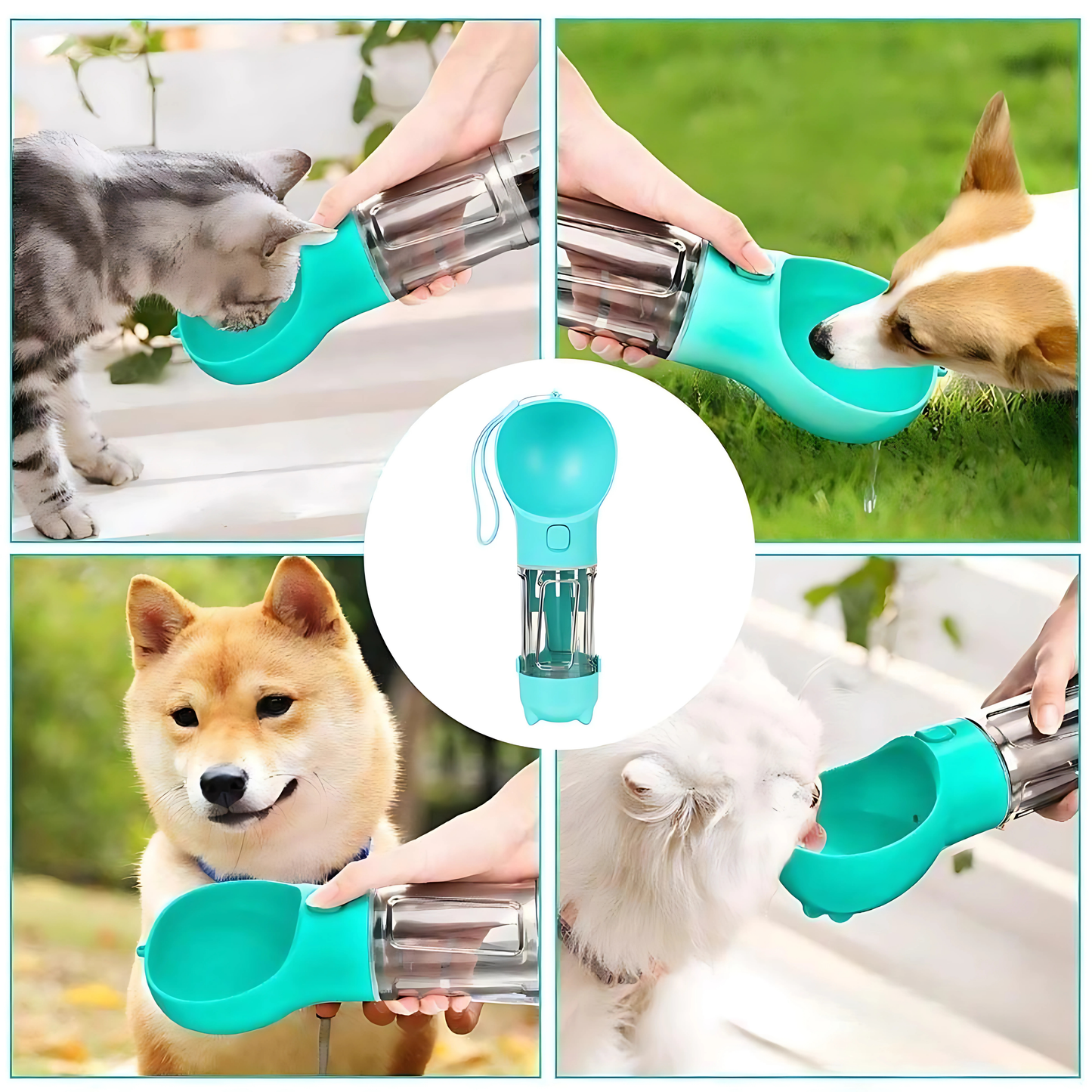 3 IN 1 Pet Feeding Bottle