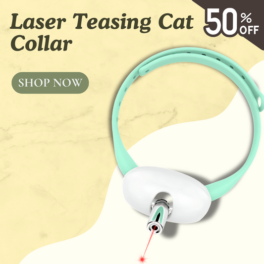 Laser Teasing Cat Collar