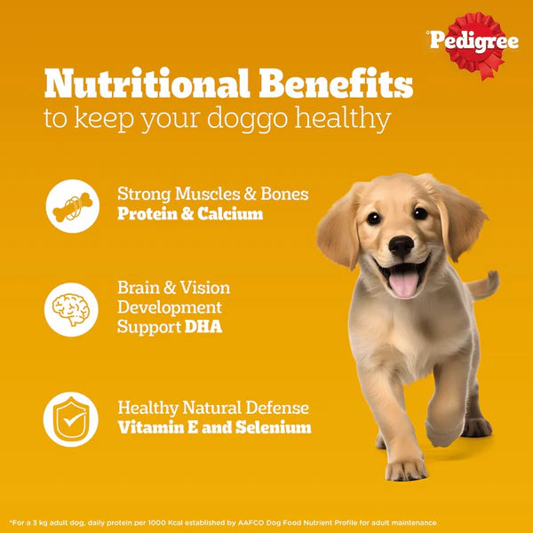 Pedigree Chicken & Liver Chunks in Gravy Puppy Wet Food – 130g