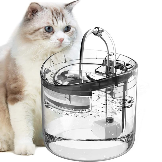 Transparent Water Fountain