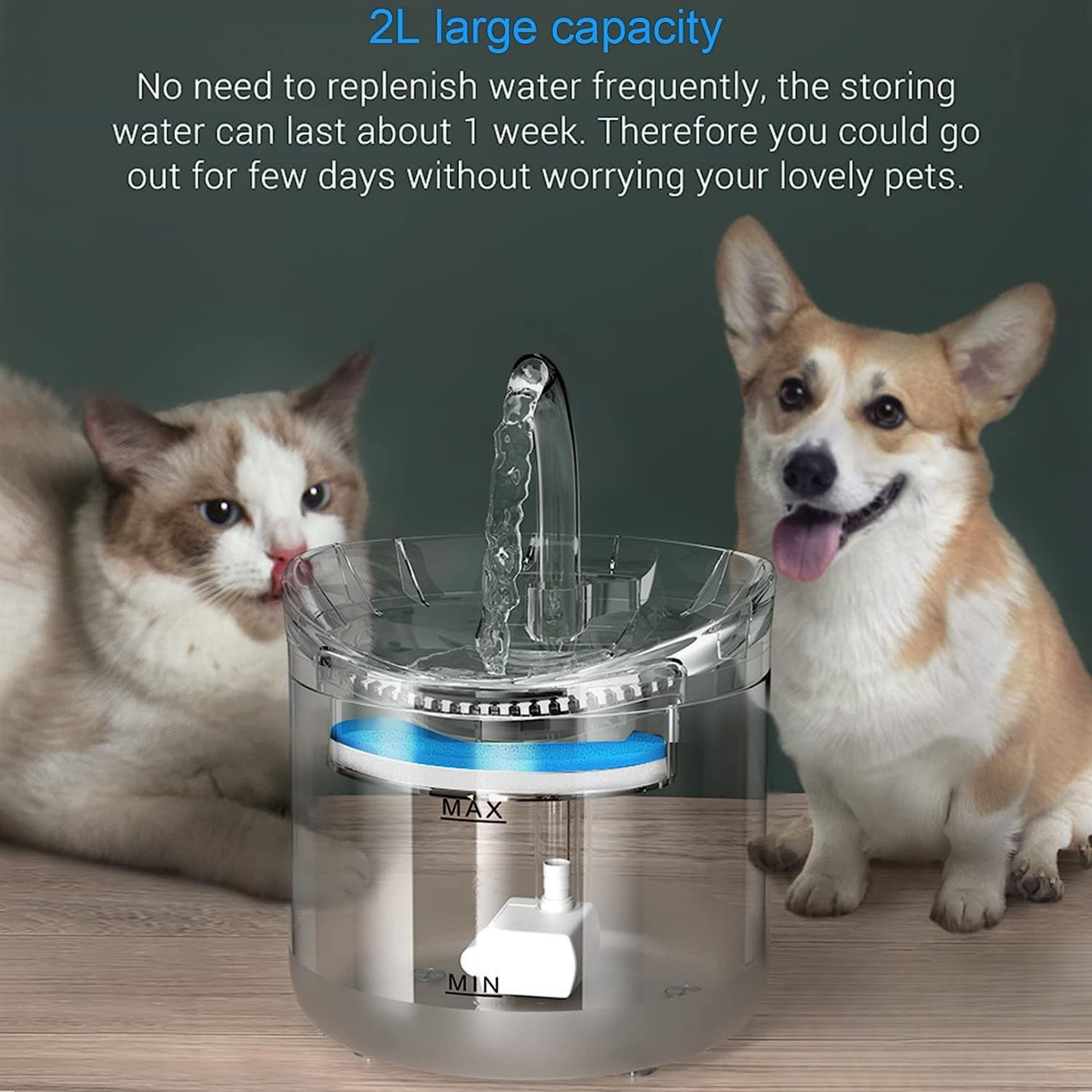 Transparent Water Fountain