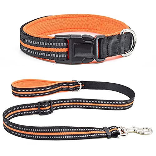 Retractable Leash With Collar