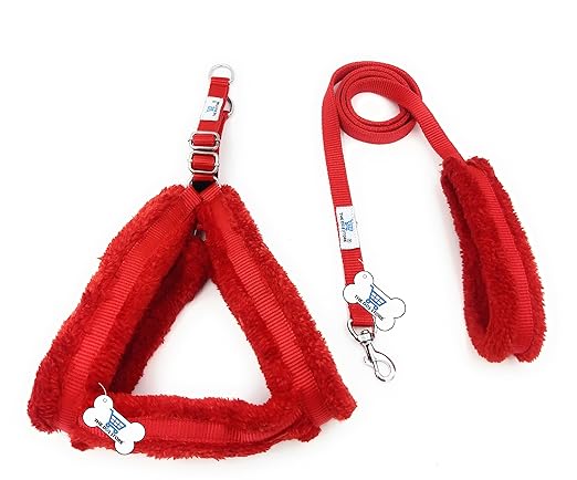 Fur Collar Leash