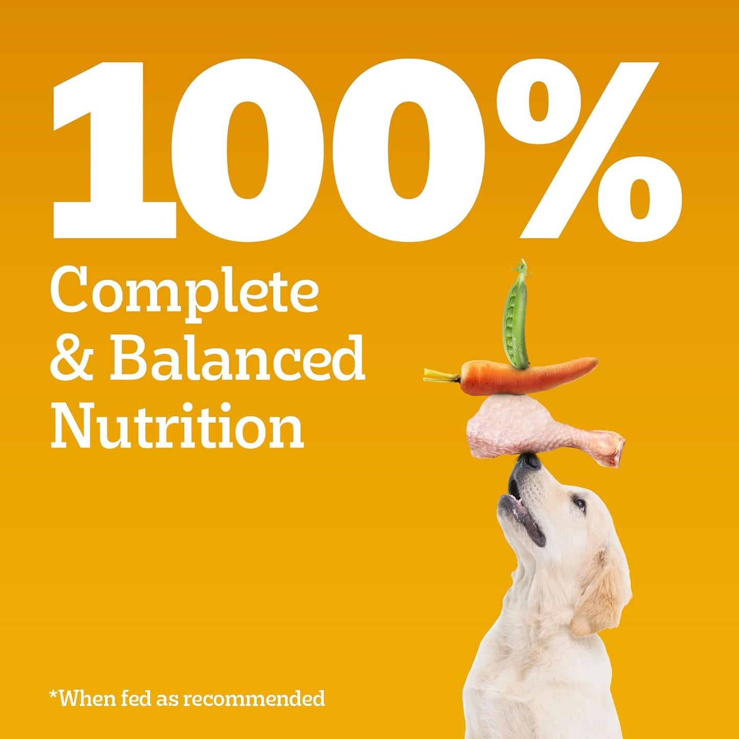 Pedigree Puppy Dry Dog Food, Chicken & Milk, 3 kg, Contains 37 Essential Nutrients, 100% Complete & Balanced Food for Puppies