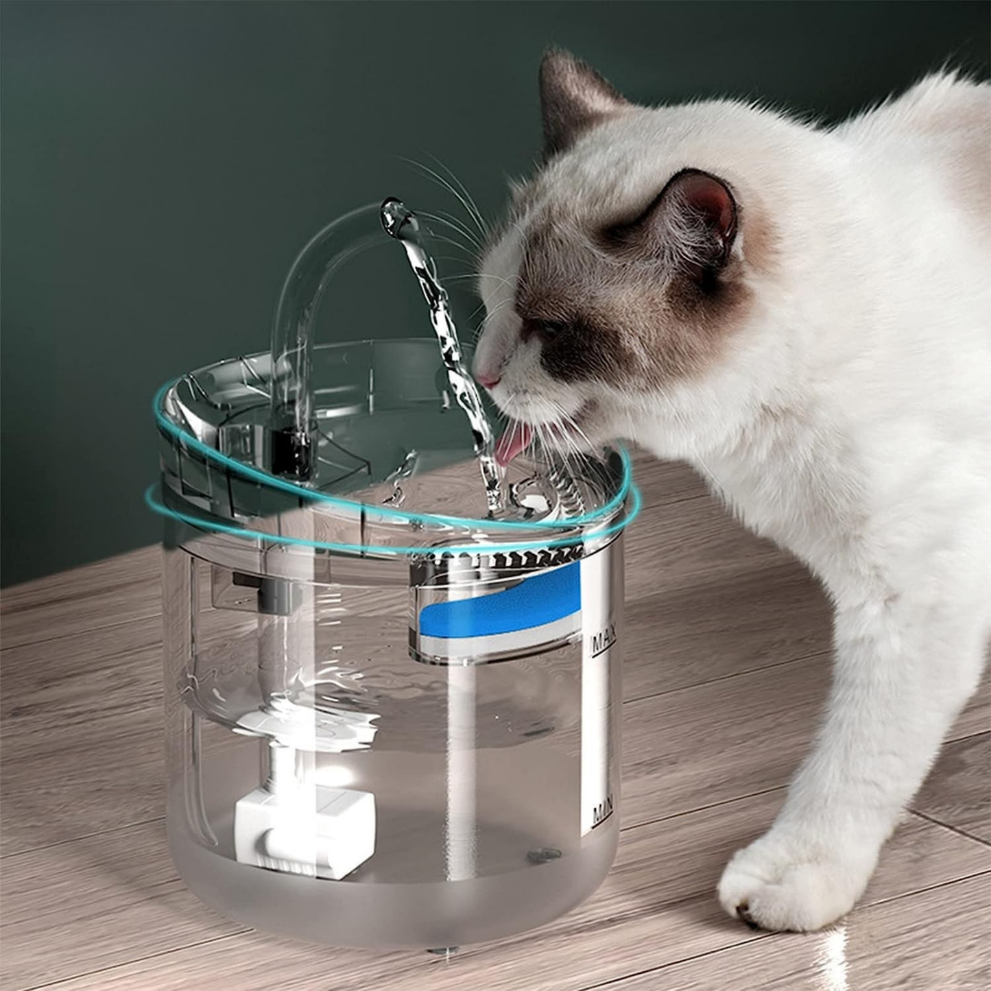 Transparent Water Fountain