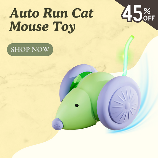 Auto Run Cat Mouse Toy