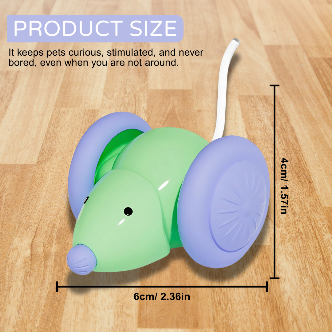 Auto Run Cat Mouse Toy