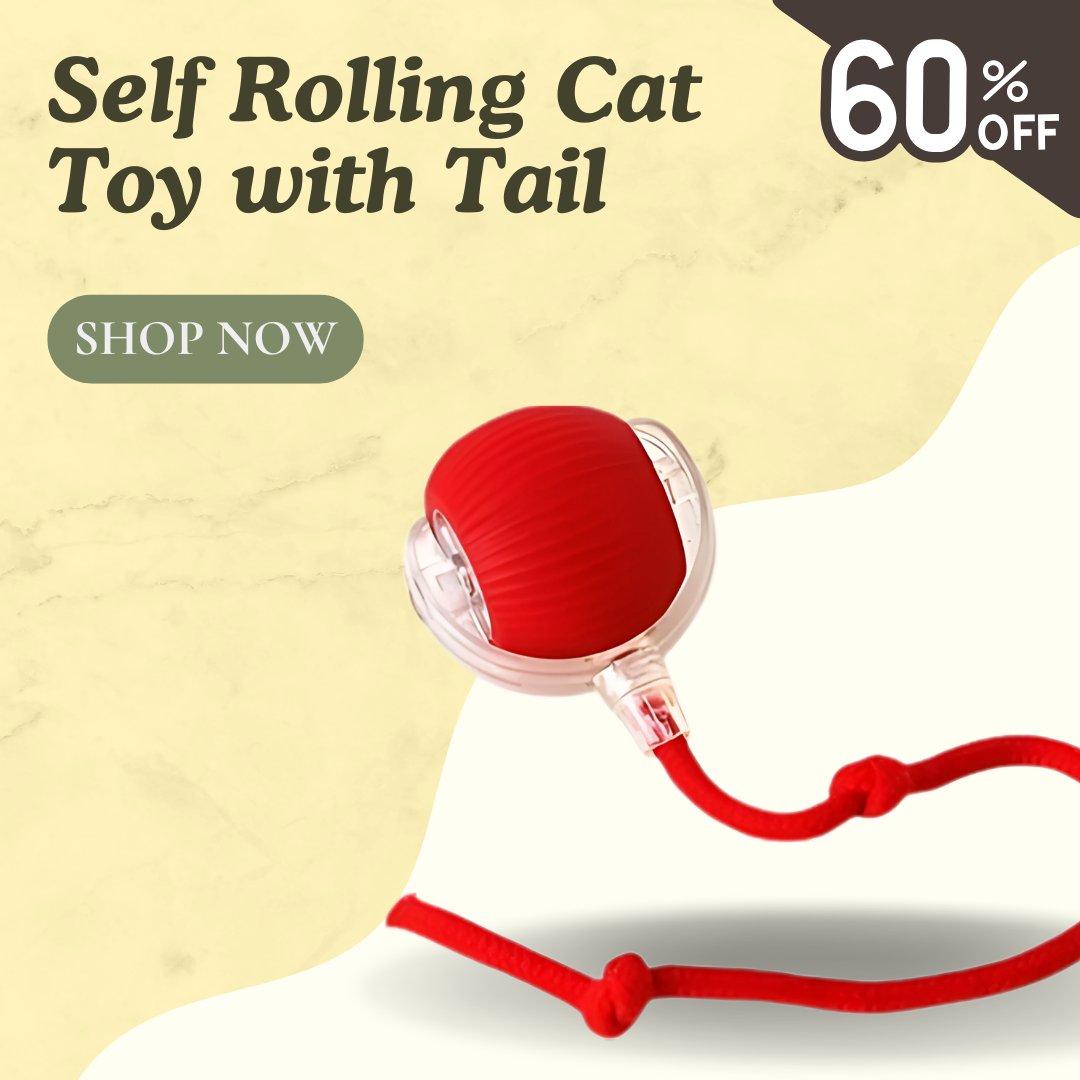 Self Rolling Cat Toy Ball with Tail