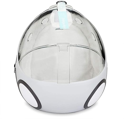 Transparent Bag