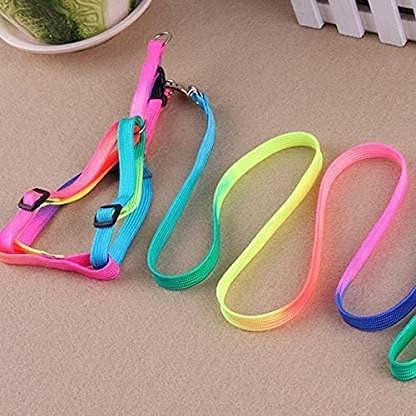Puppy Harness Body Belt