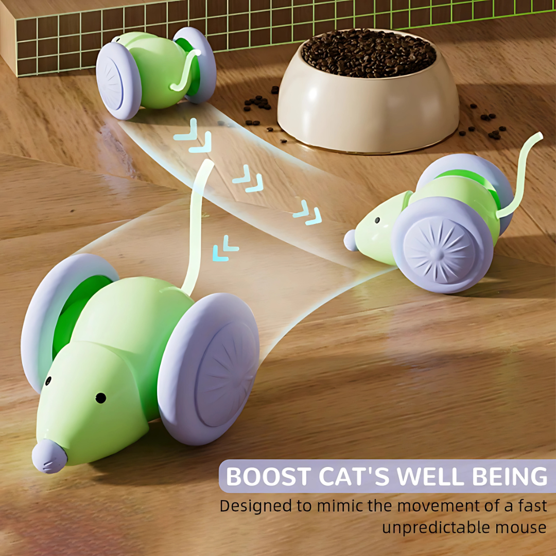 Auto Run Cat Mouse Toy