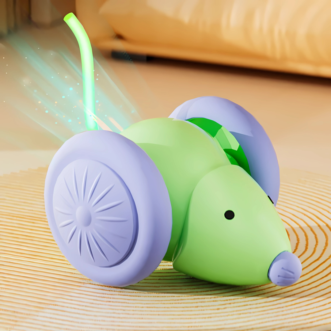 Auto Run Cat Mouse Toy