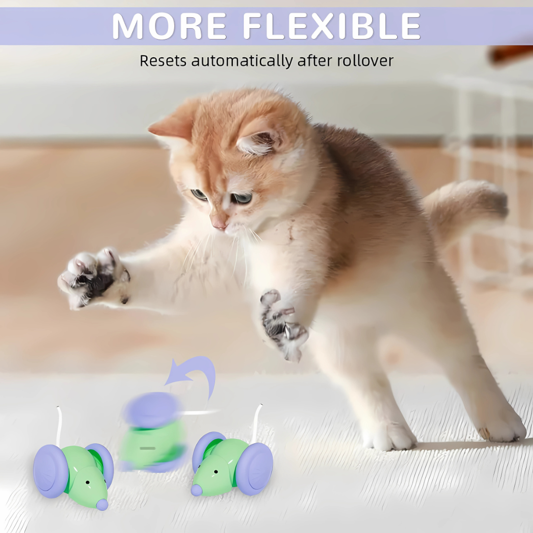 Auto Run Cat Mouse Toy