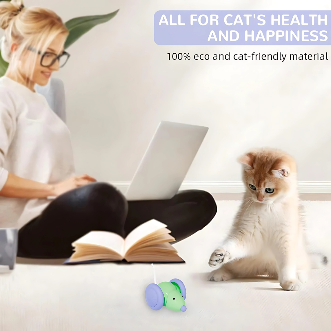 Auto Run Cat Mouse Toy