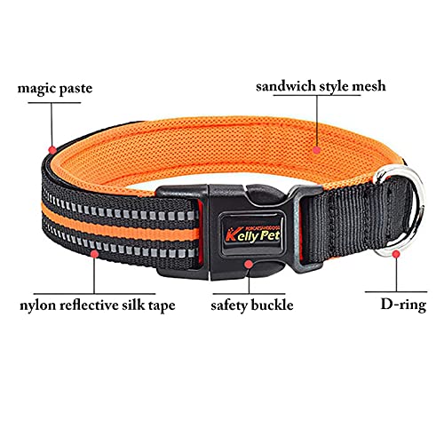 Retractable Leash With Collar
