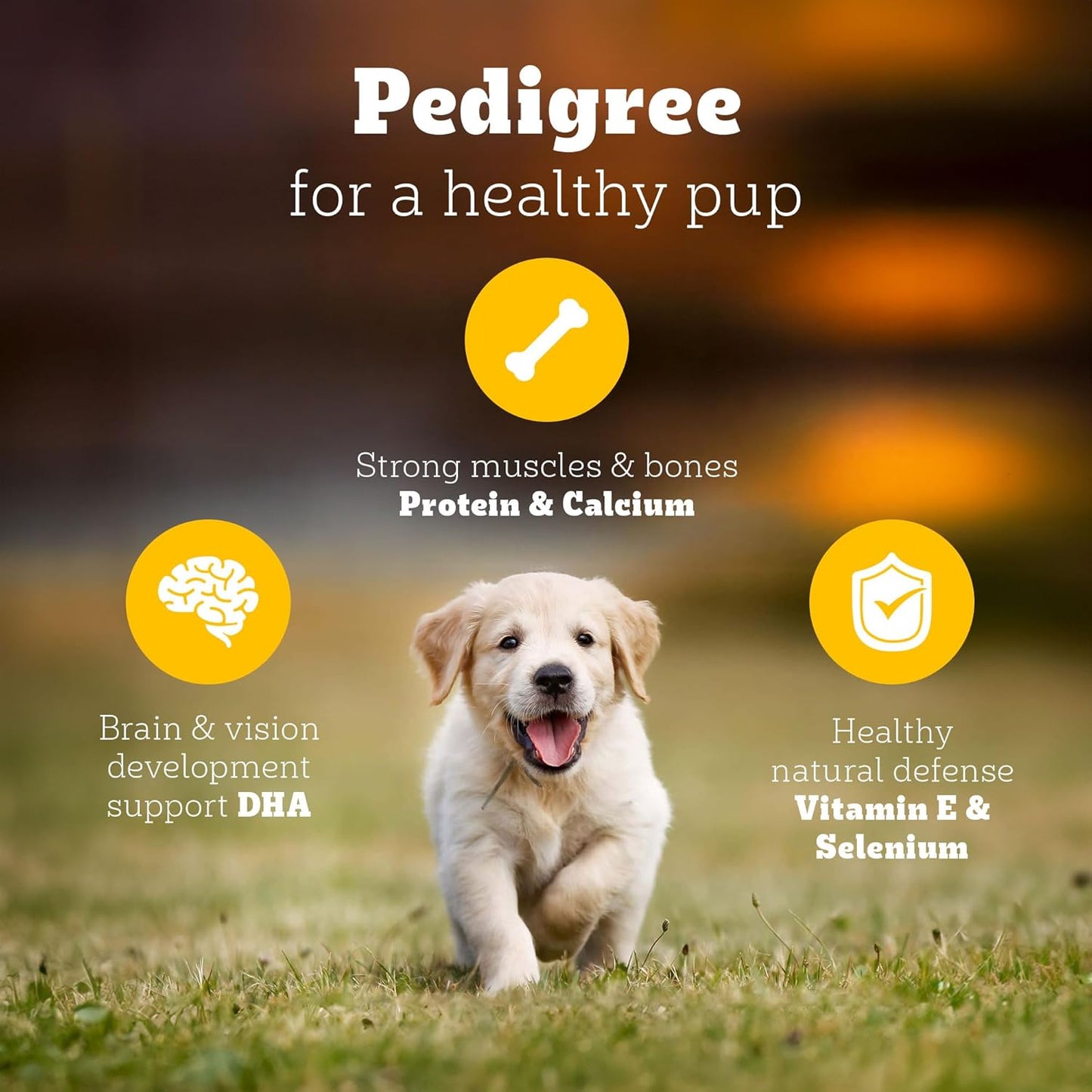 Pedigree Puppy Dry Dog Food, Chicken & Milk, 3 kg, Contains 37 Essential Nutrients, 100% Complete & Balanced Food for Puppies