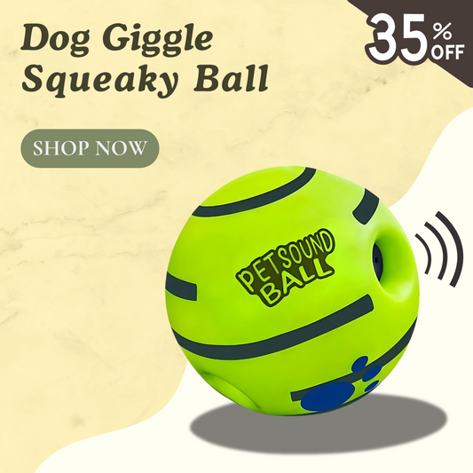Dog Giggle Squeaky Ball