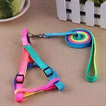 Puppy Harness Body Belt