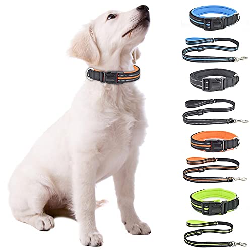 Retractable Leash With Collar