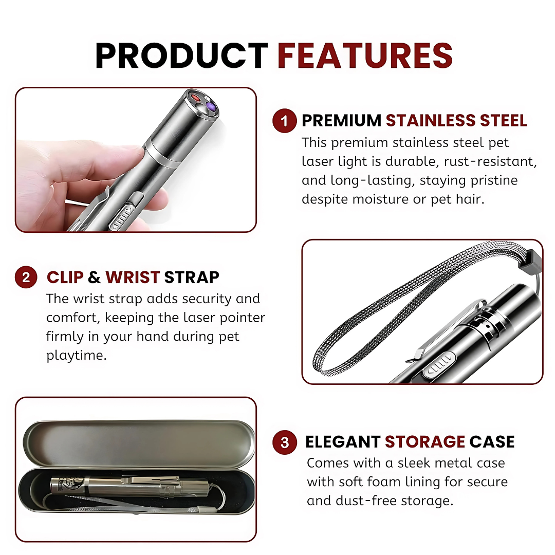 3 in 1 USB Laser Pointer Cat Teasing Toy